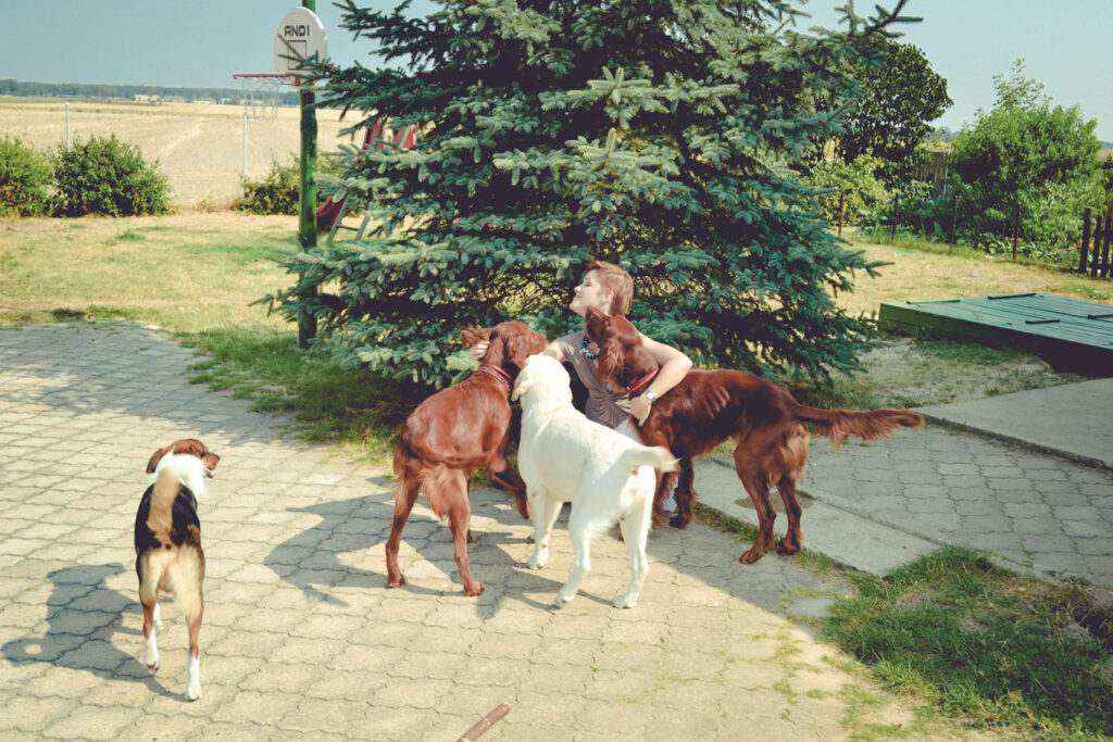 hotel dla małych psów ostrów wielkopolski